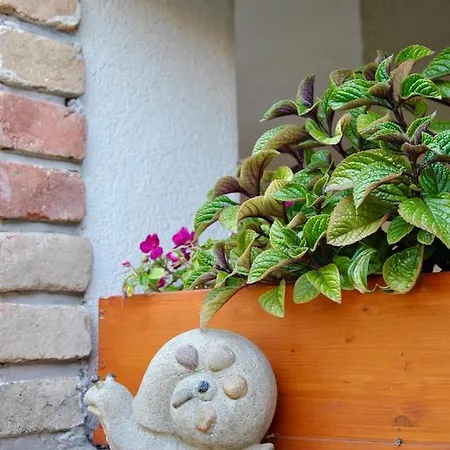 Panorama Appartement Gyula