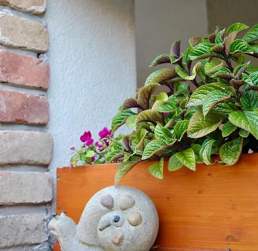 Panorama Apartament Gyula